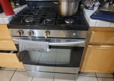 Professional Appliance Technician
